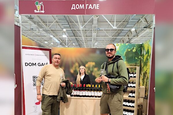 Новые винодельни на востоке Кубани