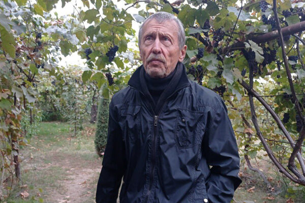 Саратовское виноделие: затерянный мир Юрия Сидоренко