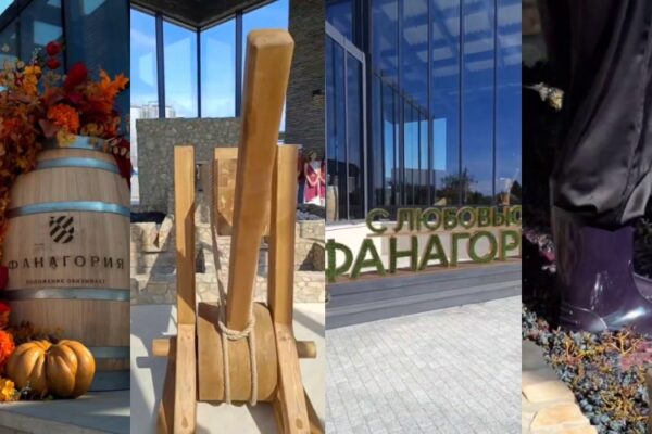 Подробности восстановления античной винодельни в «Фанагории»