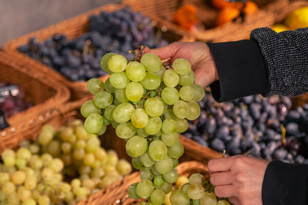 В Анапе рассказали о развитии виноградарства в муниципалителе